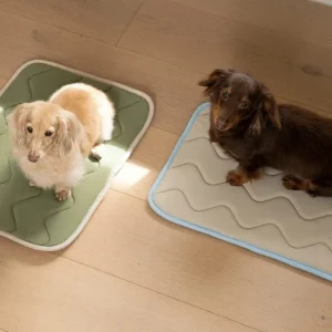 Cool Wave Memory Foam Dog Mat