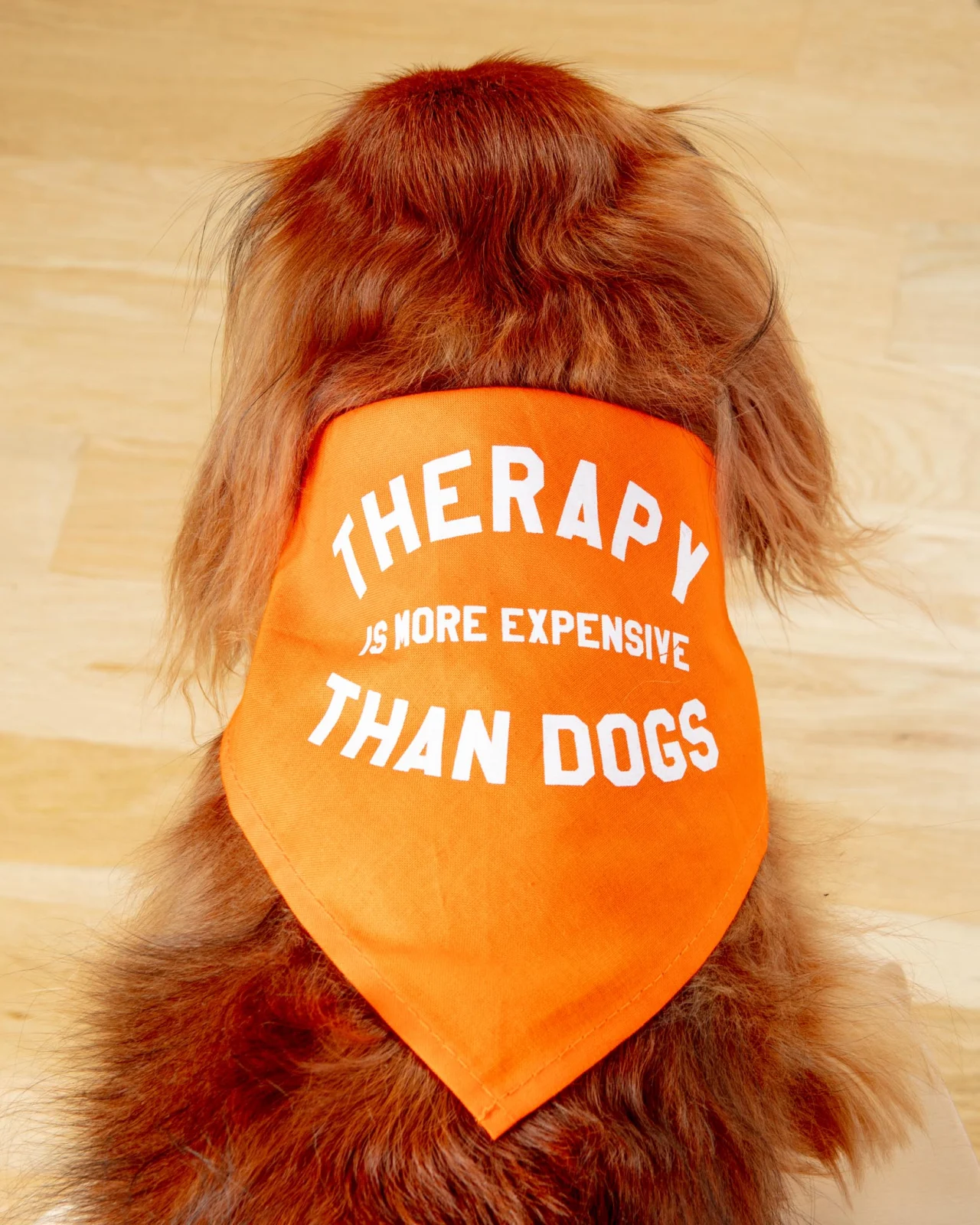 Therapy is More Expensive than Dogs Bandana(Made in the USA) (FINAL SALE) - Image 2