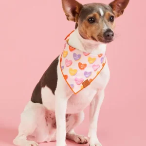 Candy Hearts Dog Bandana (Made in the USA) (FINAL SALE)