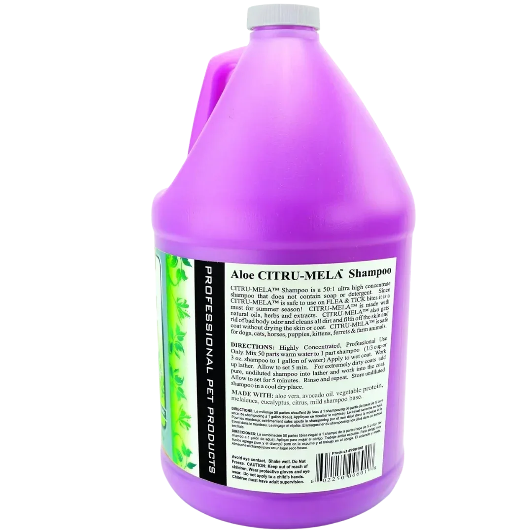 Aloe Citru-Mela Shampoo 50:1 Gallon by Nature's Choice - Image 2