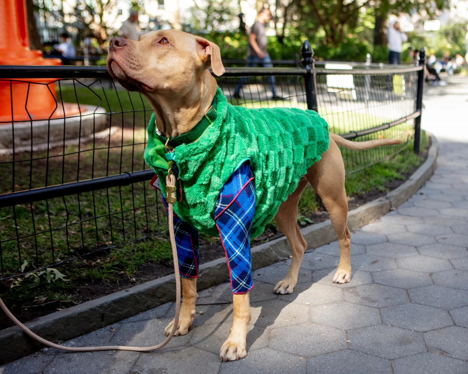 Fleece Check Half-Zip Pullover for Dogs - Image 2