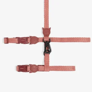 Cat Harness with Leash in Canyon