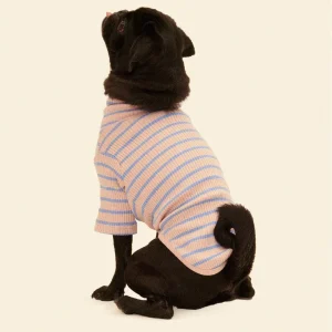 Catch Me Outside Dog Shirt (FINAL SALE)