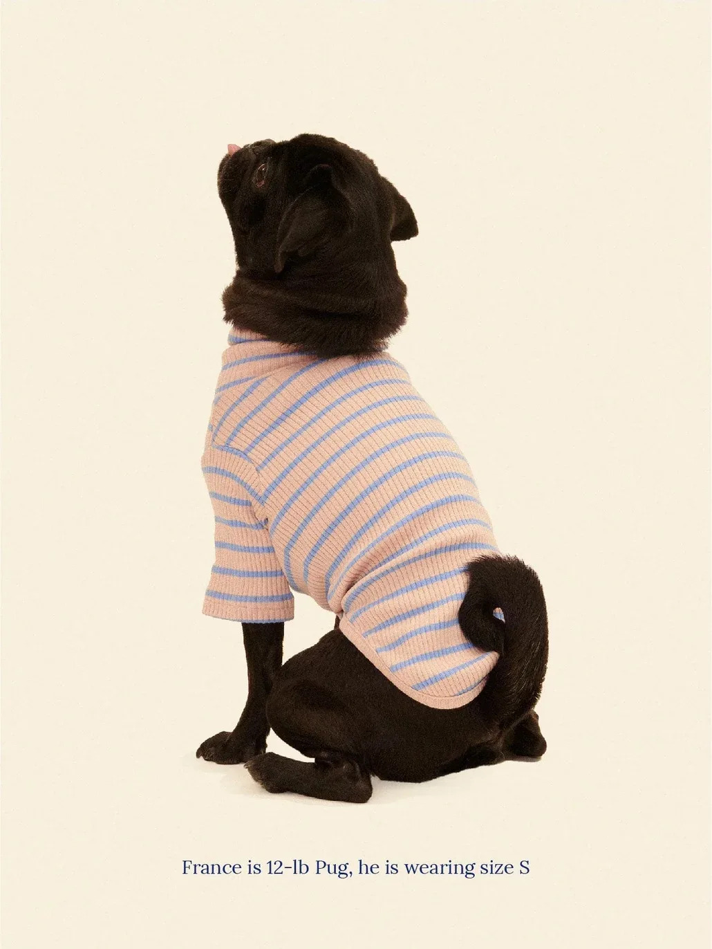 Catch Me Outside Dog Shirt (FINAL SALE)