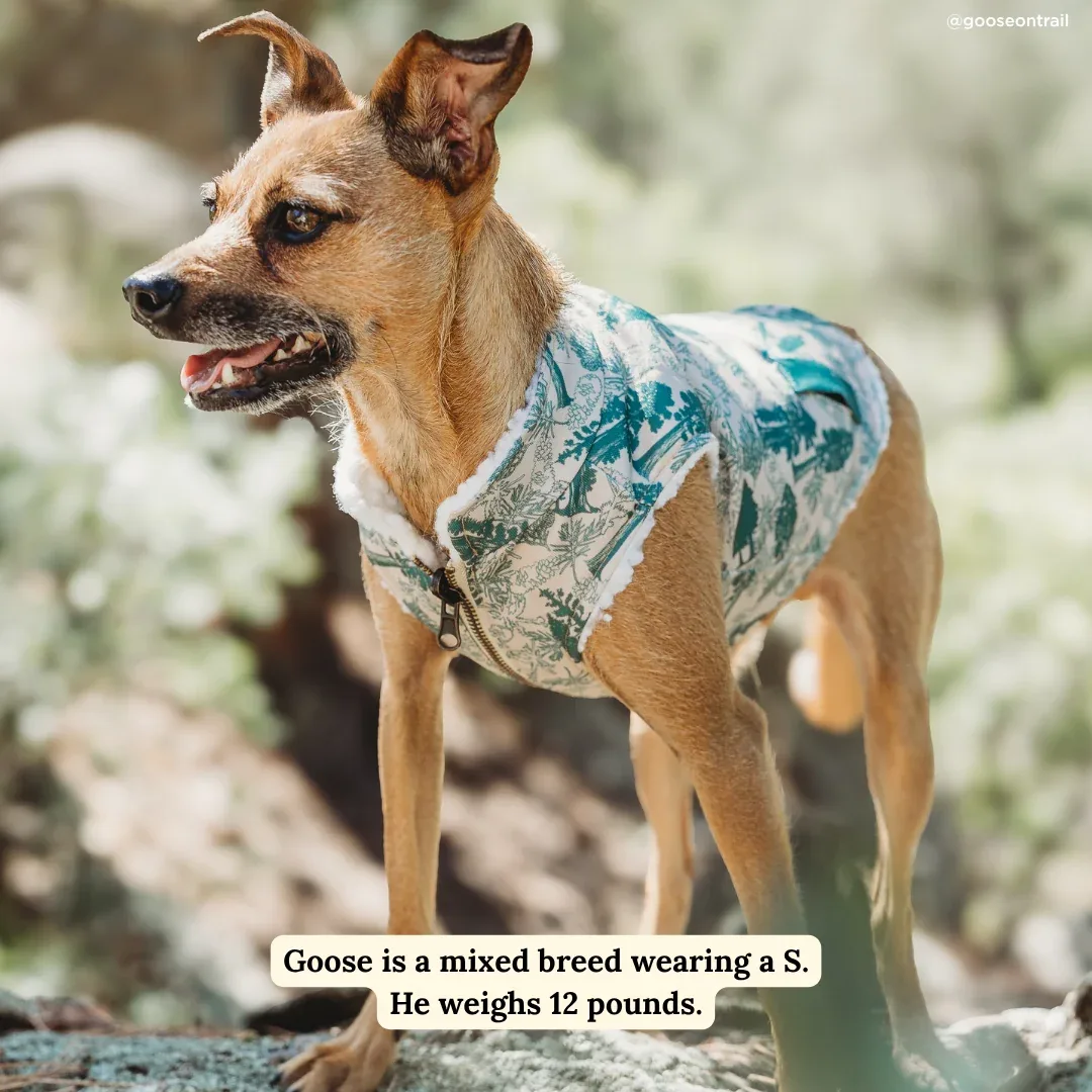 Lucy & Co. x Parks Project Sequoia Seedlings Canvas Vest - Image 2