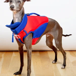 High Tide Dog Life Jacket in Blue & Red (FINAL SALE)