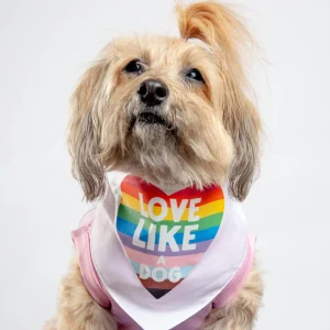 Love Like a Dog Pride Bandana