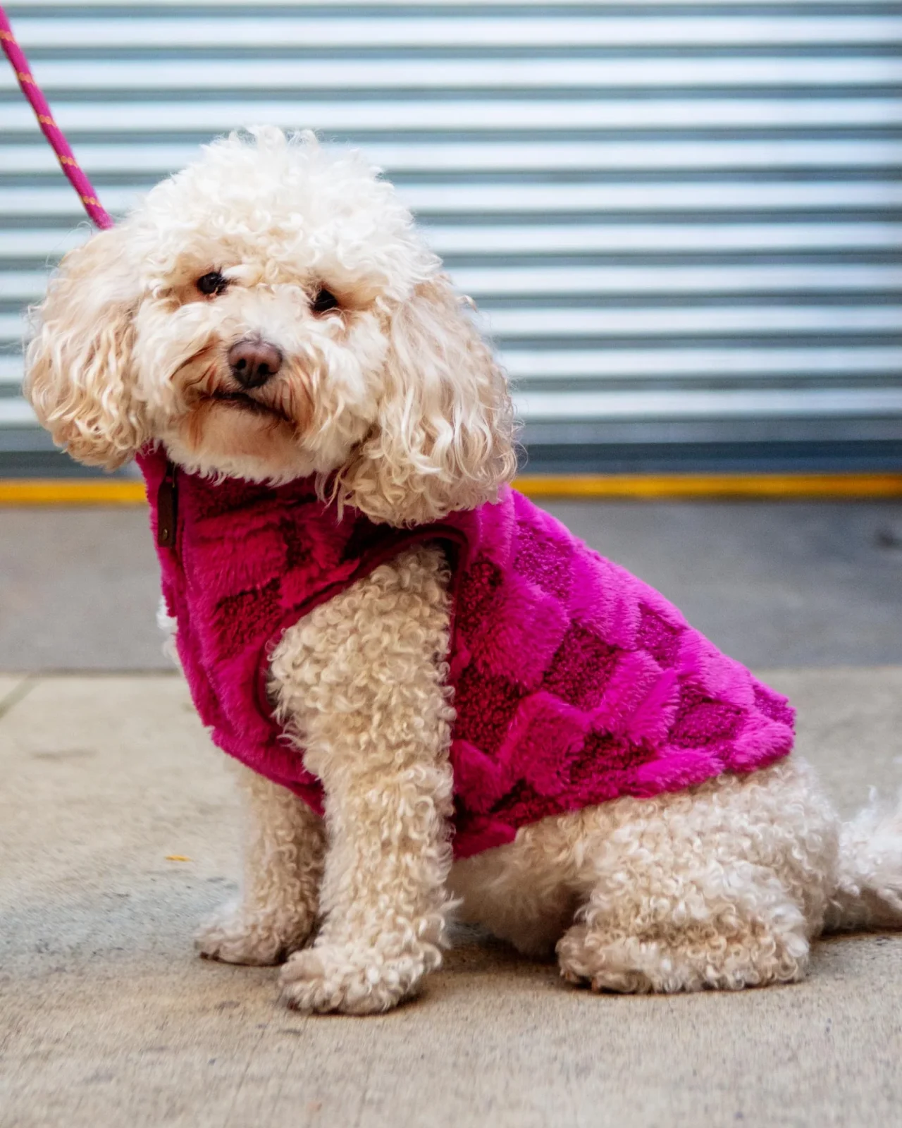 Fleece Check Half-Zip Pullover for Dogs