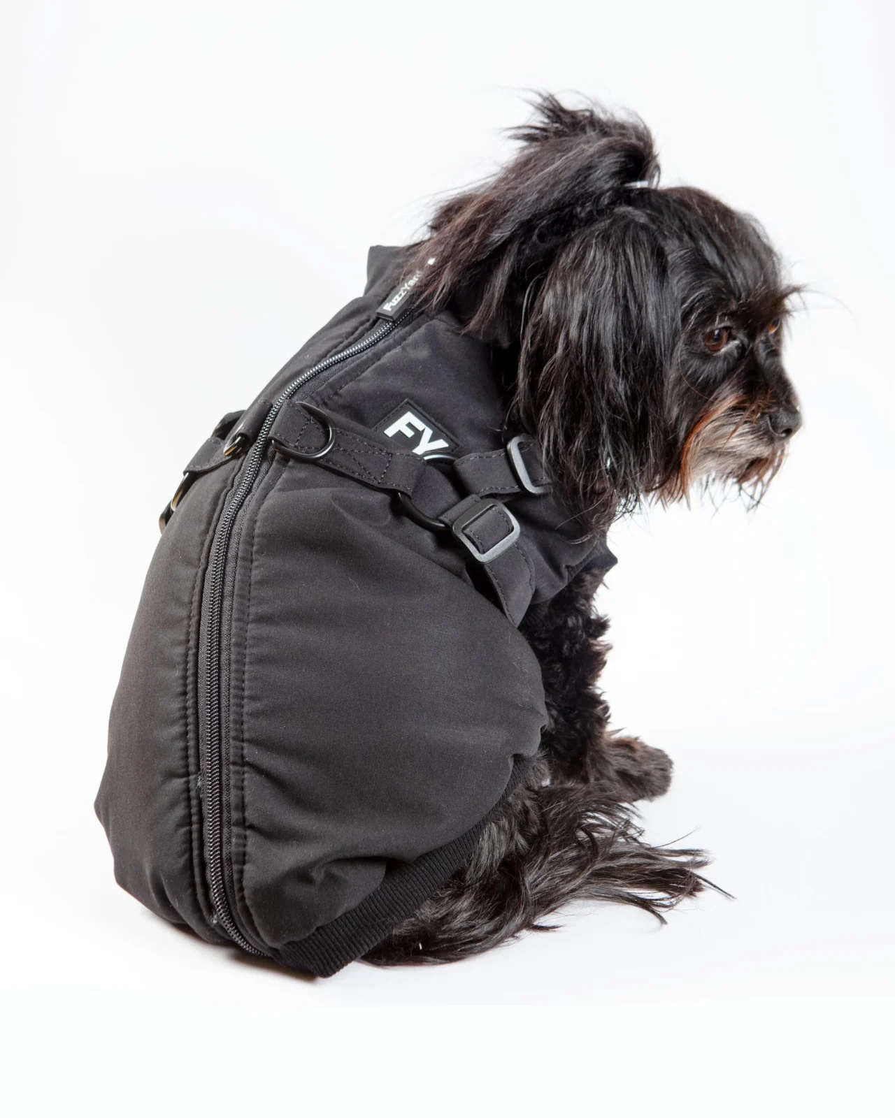 Flash Harness Jacket in Black (FINAL SALE) - Image 2
