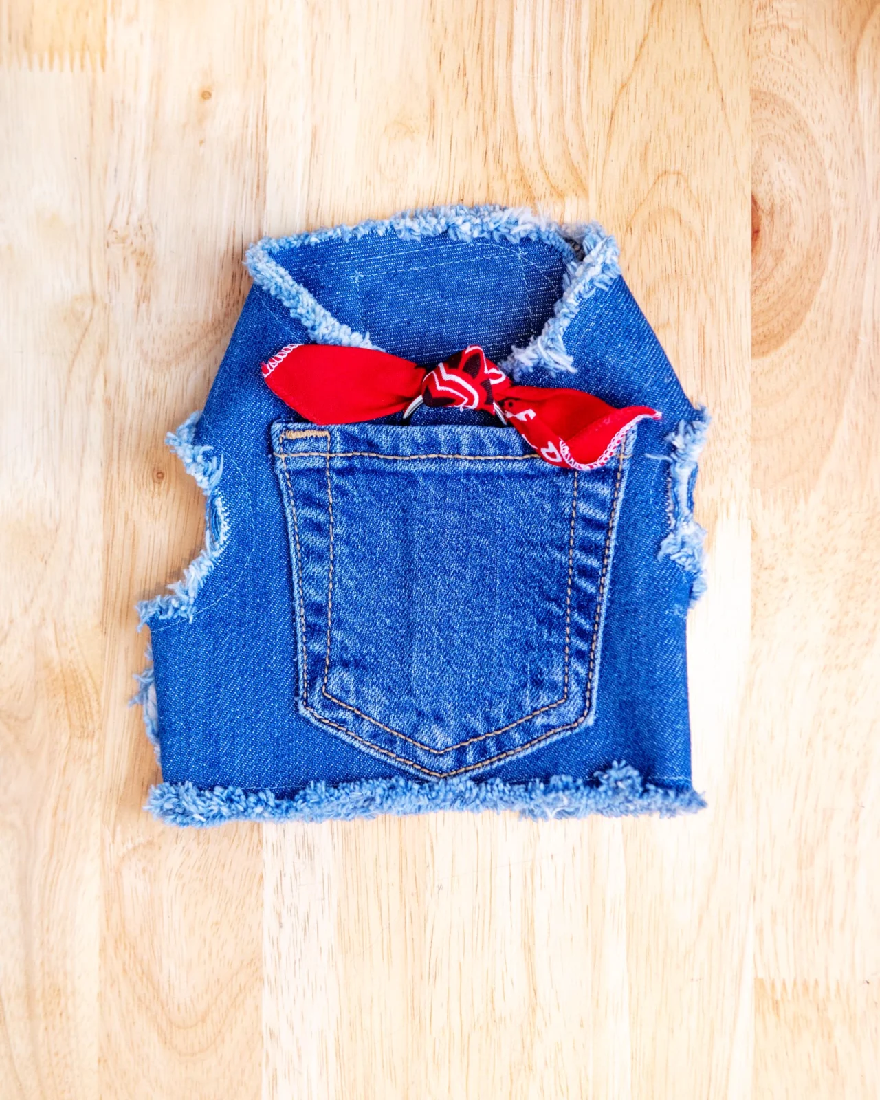 Paisley Bandana Denim Dog Harness (Made in the USA) (Dog & Co. Exclusive) - Image 2