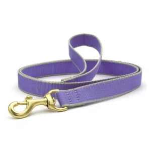 Color Market Dog Leash in Lavender (Made in the USA)