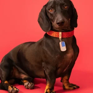 USA Flag Pet ID Tag