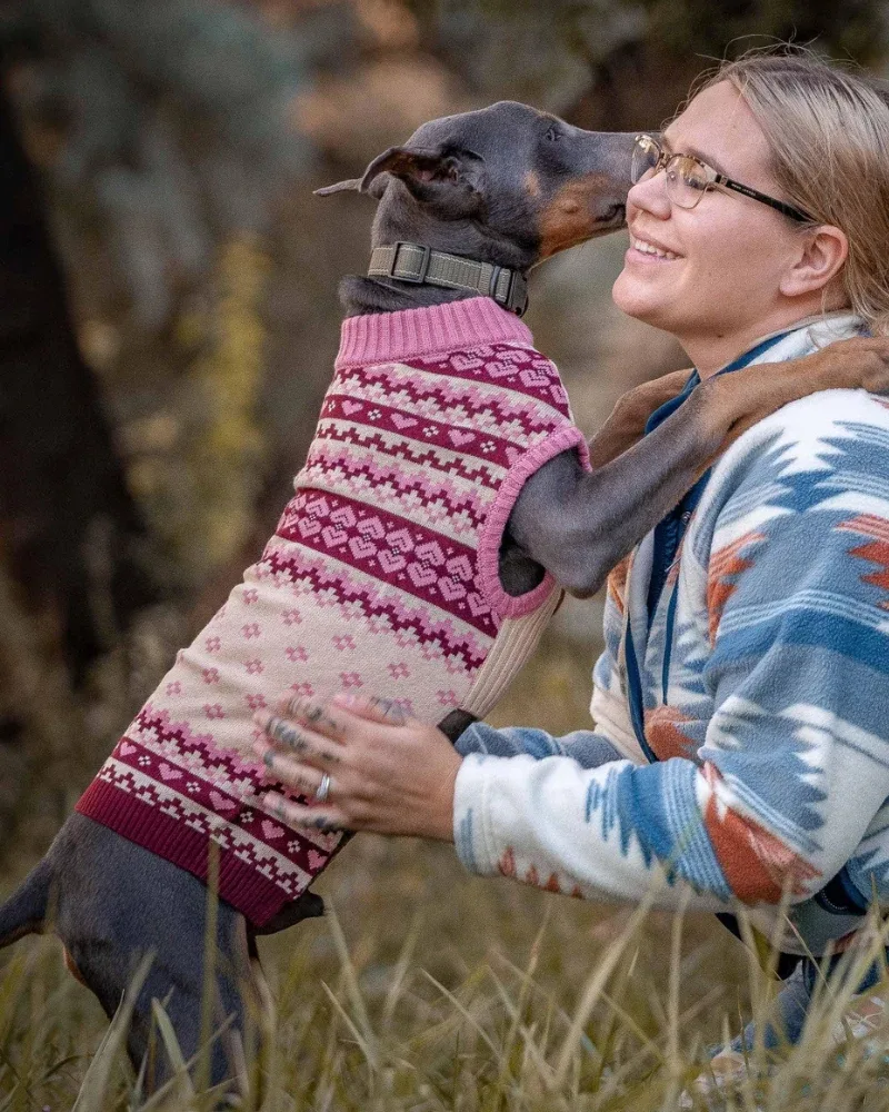 Hearts Fair Isle Dog Turtleneck Sweater (FINAL SALE) - Image 2