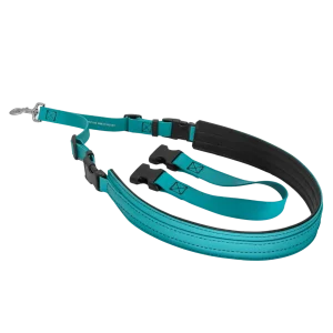 Belly Loops Teal by Jelly Pet