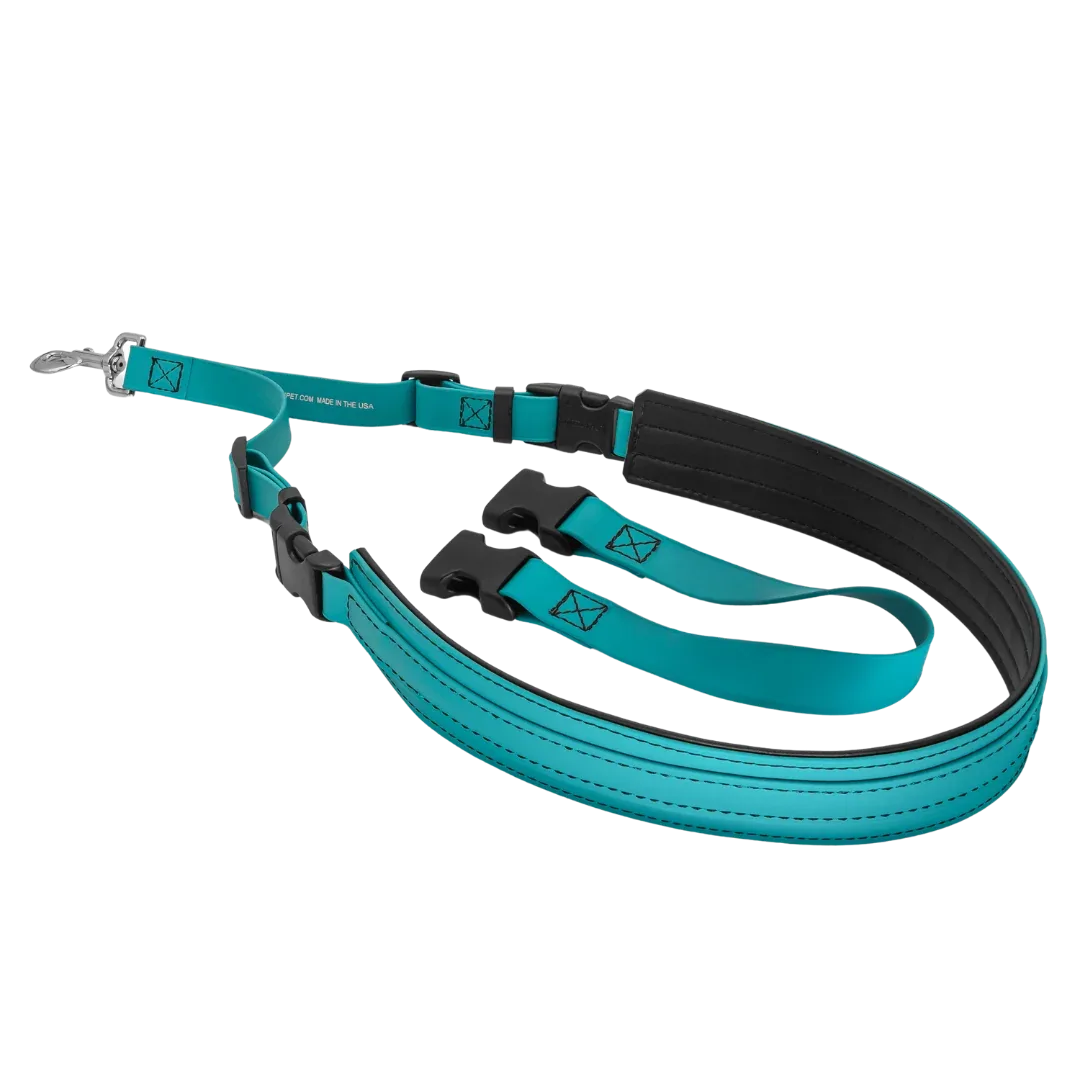 Belly Loops Teal by Jelly Pet