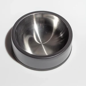 Dog Bowl