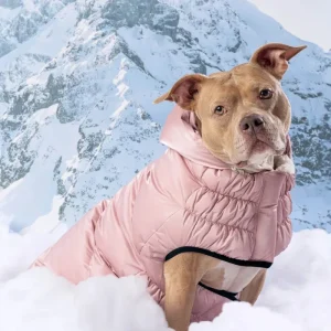 Lunar Glow Dog Parka in Pink