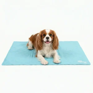 Dog Cooling Mat