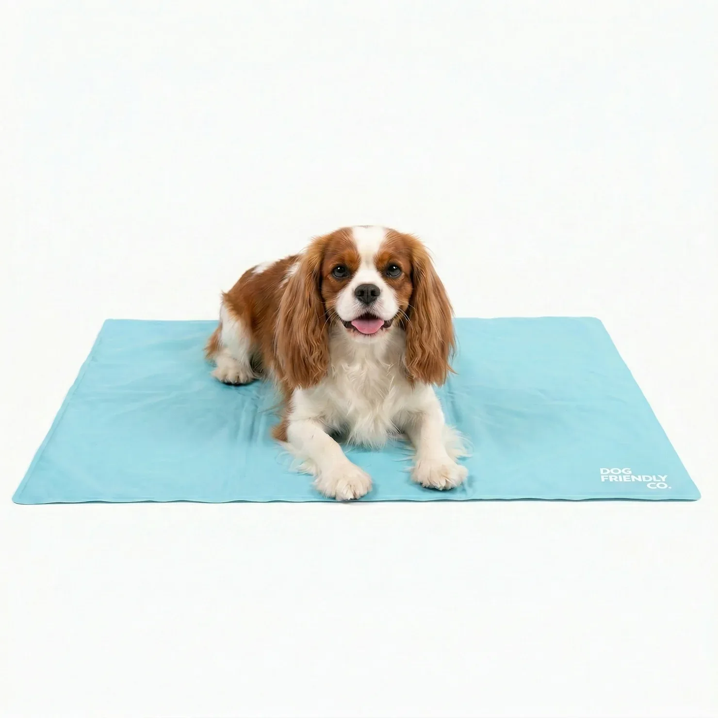 Dog Cooling Mat