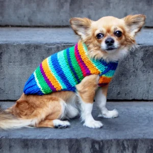 Royal Stripe Alpaca Dog Sweater