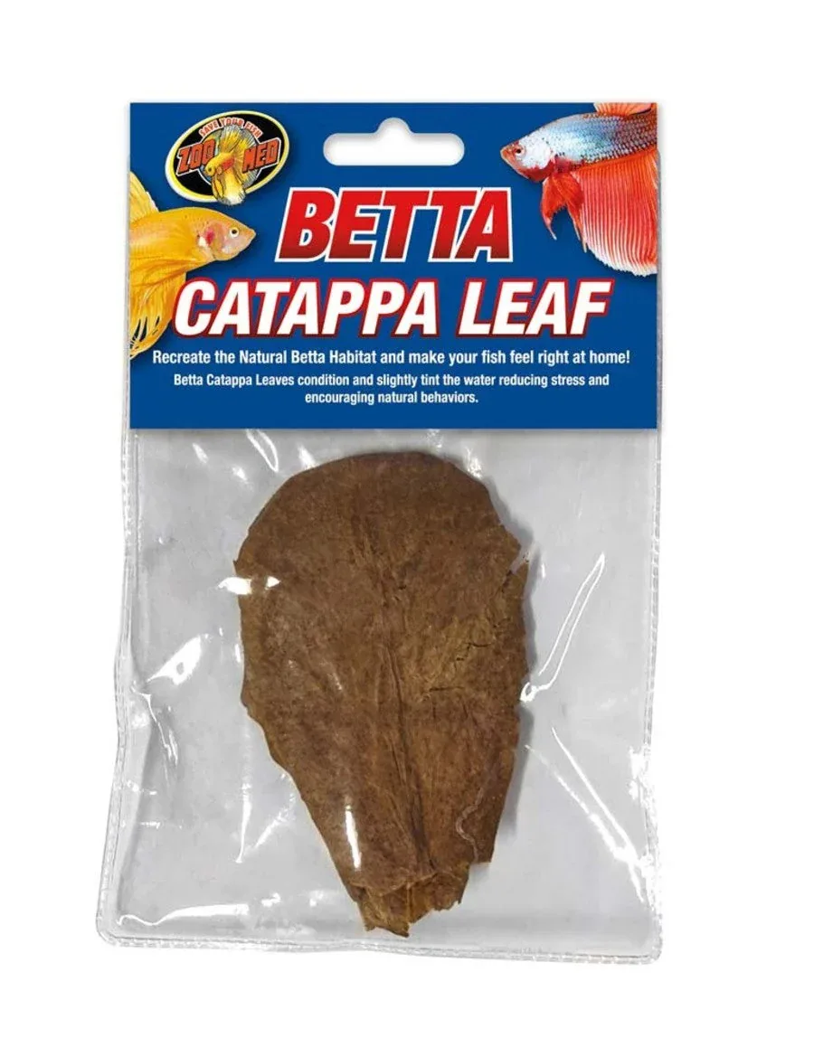 Zoo Med Betta Catappa Leaf 3 ct