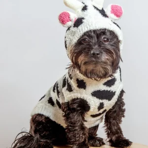 Cuddly Cow Chenille Dog Sweater