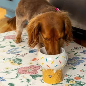 I Scream for Ice Cream Elevated Pet Food Bowl (FINAL SALE)