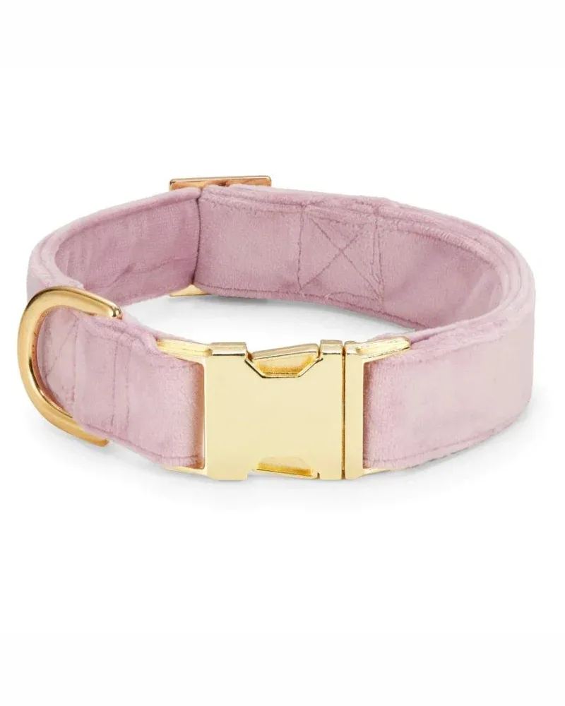 Lilac Velvet Dog Collar (Made in the USA) (FINAL SALE) - Image 2