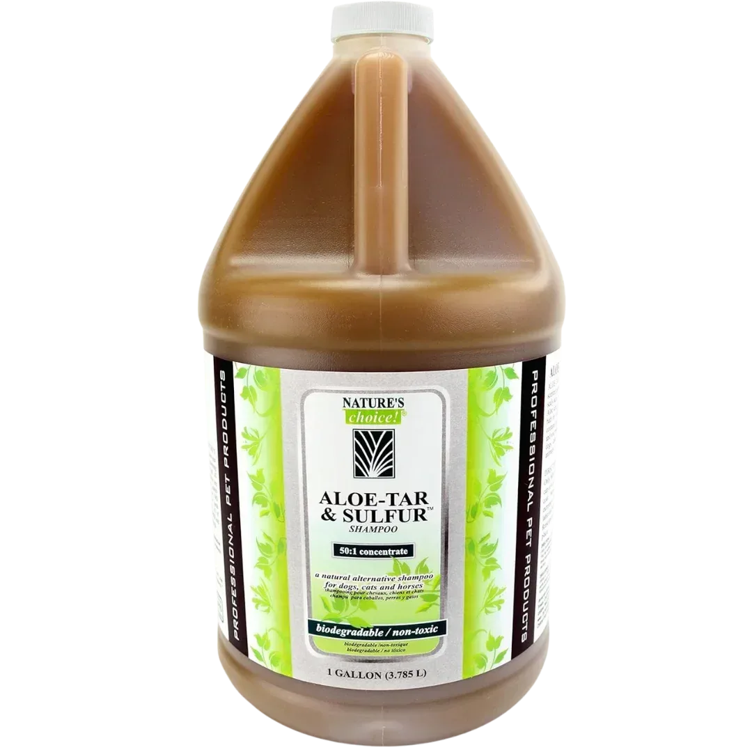 Aloe Tar and Sulfur Shampoo 50:1 Gallon by Nature's Choice