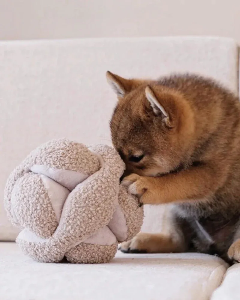 Monti Snuffle Ball Dog Toy - Image 2