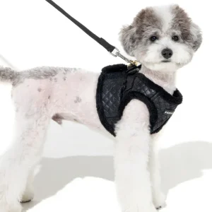 Douglas Quilted Vest Harness in Beige or Black