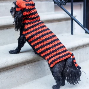 Tiger Hand-Knit Dog Sweater (DOG & CO. Exclusive) (FINAL SALE)