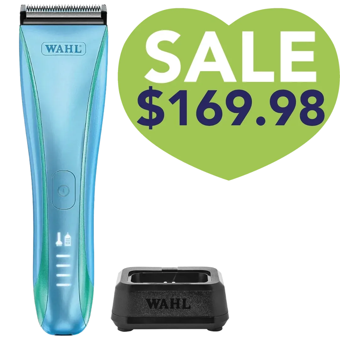 Motiva2 Clipper Blue with Charging Stand by Wahl
