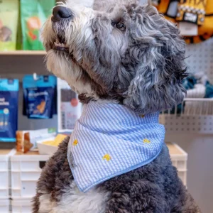 Blue Stripe with Rubber Duck Dog Bandana