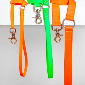 A Walk in the Park Dog Leash (Made in the USA)