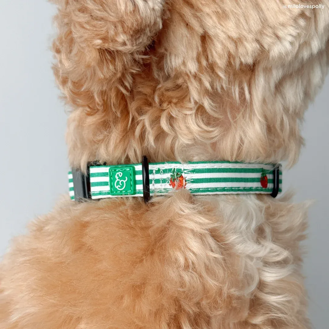 Tomato, Tomahto Embroidered Collar - Image 2