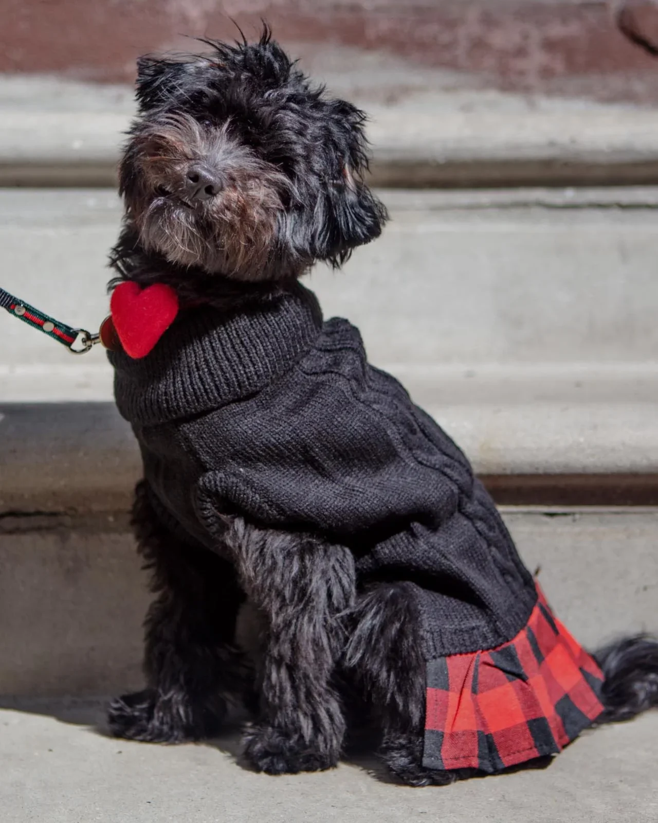 Turtleneck Sweater Dress for Dogs - Image 2