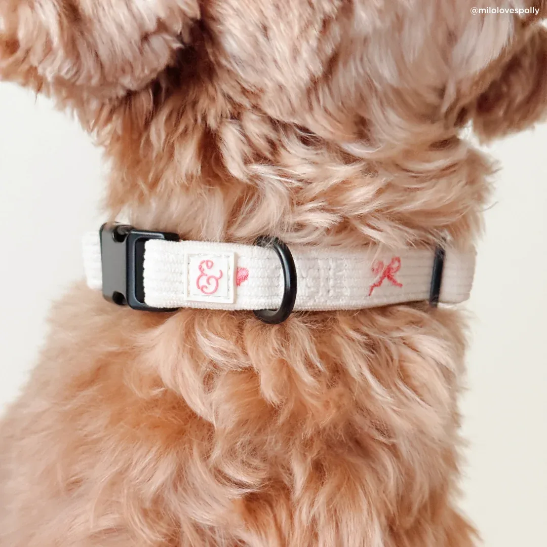 Ever So Sweet Corduroy Collar - Image 2