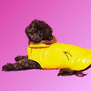 Shiny Puffer Dog Jacket w/ Faux Fur Hood (Made in the USA) (FINAL SALE)