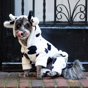 Hooded Fleece Moo Cow Dog Onesie