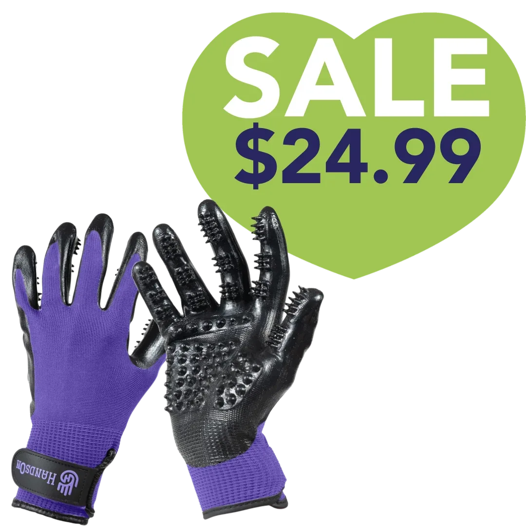Large Purple Monochromatic Deshedding Gloves by HandsOn Gloves