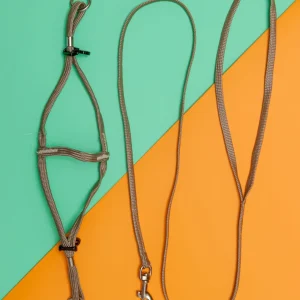 Tiny Dog Step-In Harness + Lead in Tan