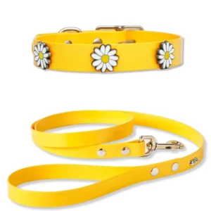 The Daisy Hydro Collar + Leash Set (Made in Canada)