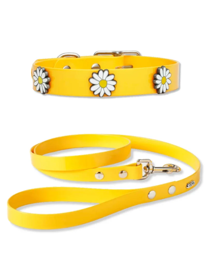 The Daisy Hydro Collar + Leash Set (Made in Canada)