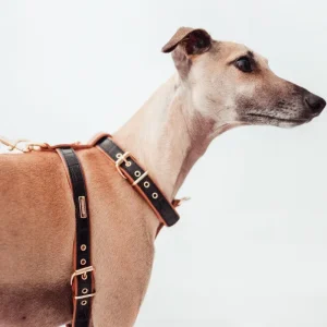 Lia Leather Dog Harness in Black Croco (Made in Italy) (FINAL SALE)