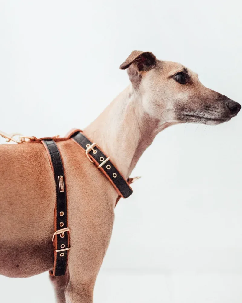 Lia Leather Dog Harness in Black Croco (Made in Italy) (FINAL SALE)
