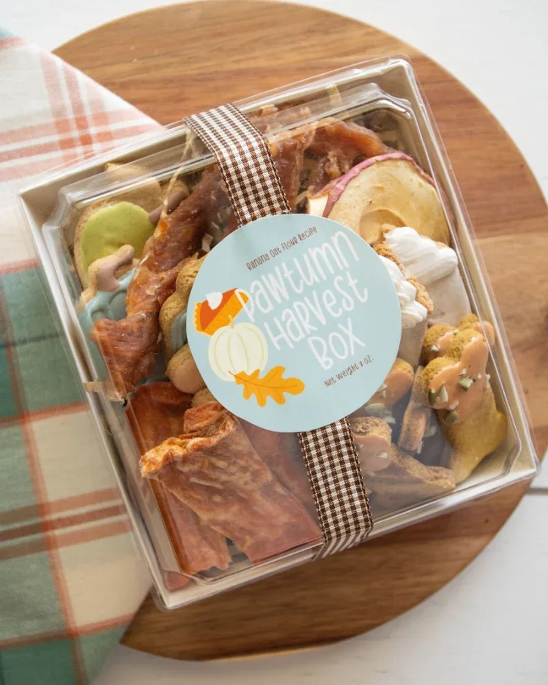 Pawtumn Harvest Dog Treat Box - Image 2