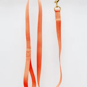 Basic Nylon Dog Leash in Peach (Made in the USA)