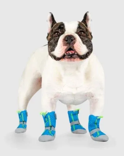 Hot Pavement Dog Boots in Blue and Green <> - Image 2