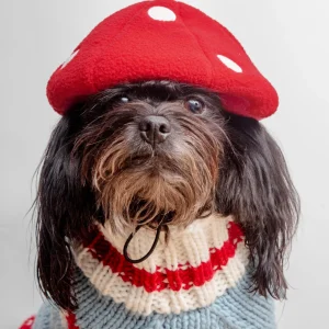 Howl-O-Ween Mushroom Cap